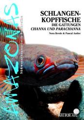 Art f&uuml;r Art: Schlangenkopffische
