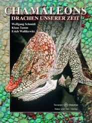 Cham&auml;leons, Drachen unserer Zeit