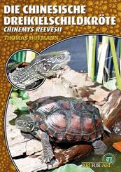 Die Chinesische Dreikielschildkr&ouml;te