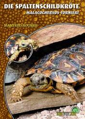 Die Spaltenschildkr&ouml;te