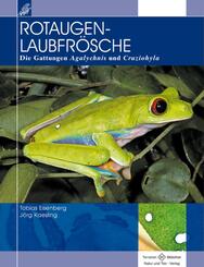 Rotaugenlaubfr&ouml;sche