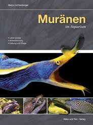 Mur&auml;nen im Aquarium