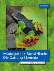 Madagaskar-Buntfr&ouml;sche