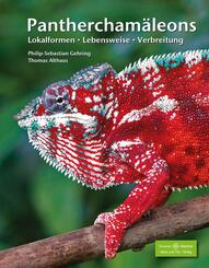 Panthercham&auml;leons