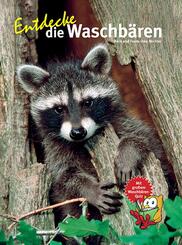 Entdecke die Waschb&auml;ren