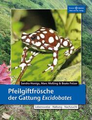 Pfeilgiftfr&ouml;sche der Gattung Excidobates