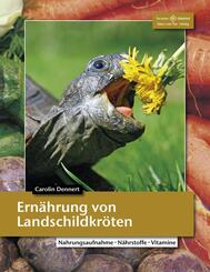 Ern&auml;hrung von Landschildkr&ouml;ten