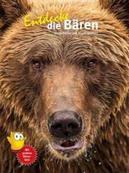 Entdecke die B&auml;ren