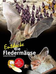 Entdecke die Flederm&auml;use