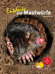 Entdecke die Maulw&uuml;rfe