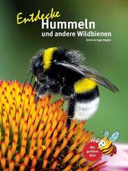 Entdecke Hummeln und andere Wildbienen