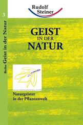 Geist in der Natur