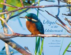V&ouml;gel in der Uckermark
