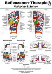 Reflexzonen-Therapie Poster - Fu&szlig;sohle & Seiten DIN A2