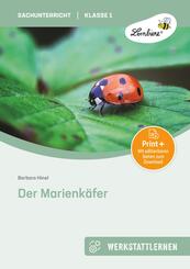 Der Marienk&auml;fer