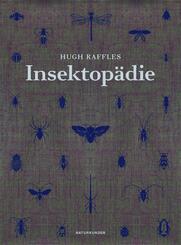 Insektop&auml;die