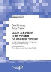 Lernen und arbeiten in der Werkstatt f&uuml;r behinderte Menschen