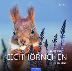 Leben mit Eichh&ouml;rnchen in der Stadt