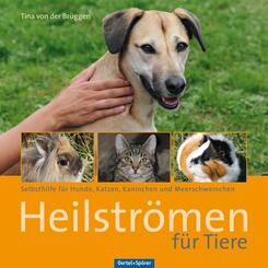 Heilstr&ouml;men f&uuml;r Tiere