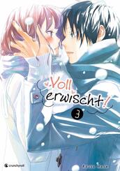 Voll erwischt!. Bd.3.Bd.3
