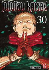 Jujutsu Kaisen - Band 30 (Finale)