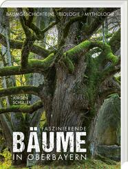 Faszinierende B&auml;ume in Oberbayern