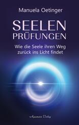 Seelenpr&uuml;fungen - Wie die Seele ihren Weg zur&uuml;ck ins Licht findet