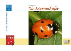 Die Marienk&auml;fer