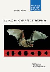 Europ&auml;ische Flederm&auml;use