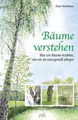 B&auml;ume verstehen