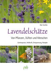 Lavendelsch&auml;tze