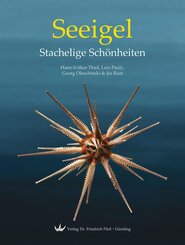 Seeigel - Stachelige Sch&ouml;nheiten