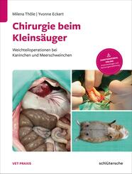Chirurgie beim Kleins&auml;uger