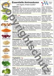 Aminos&auml;uren und vegane Quellen