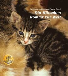 Ein K&auml;tzchen kommt zur Welt