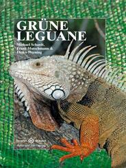 Gr&uuml;ne Leguane