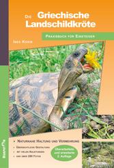 Die Griechische Landschildkr&ouml;te