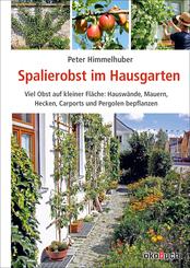 Spalierobst im Hausgarten