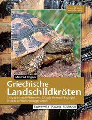 Griechische Landschildkr&ouml;ten