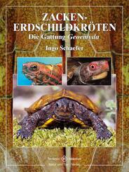 Zacken-Erdschildkr&ouml;ten