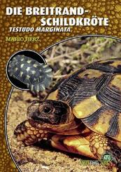 Die Breitrandschildkr&ouml;te