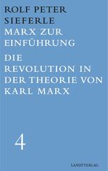 Marx zur Einf&uuml;hrung / Die Revolution in der Theorie von Karl Marx