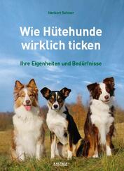 Wie H&uuml;tehunde wirklich ticken