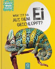 Wer ist da aus dem Ei geschl&uuml;pft?