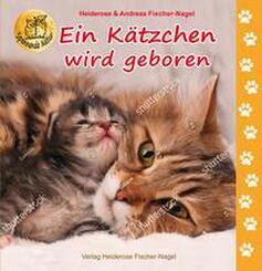 Ein K&auml;tzchen wird geboren