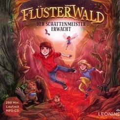 Fl&uuml;sterwald - Der Schattenmeister erwacht.Tl.4,1 Audio-CD