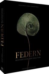 Federn
