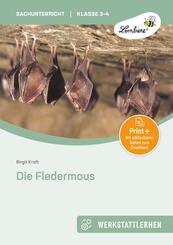 Die Fledermaus