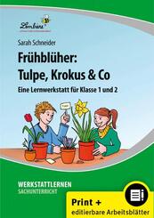 Fr&uuml;hbl&uuml;her: Tulpe, Krokus & Co