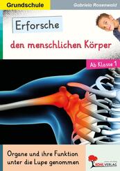 Erforsche den menschlichen K&ouml;rper